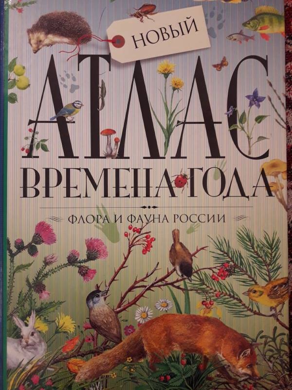 Час творчества. Лист кленовый. Библиотека семейного чтения. Бугульма.86293