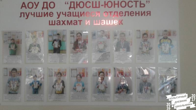 Мои успехи в шахматах74986