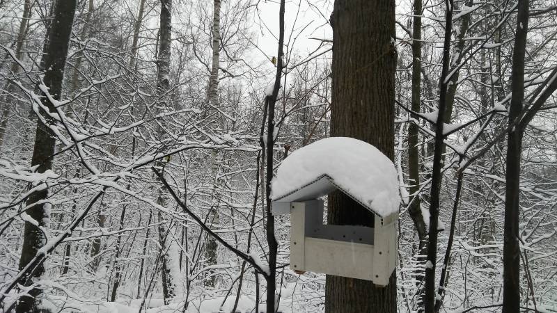 IMG_20171206_134042