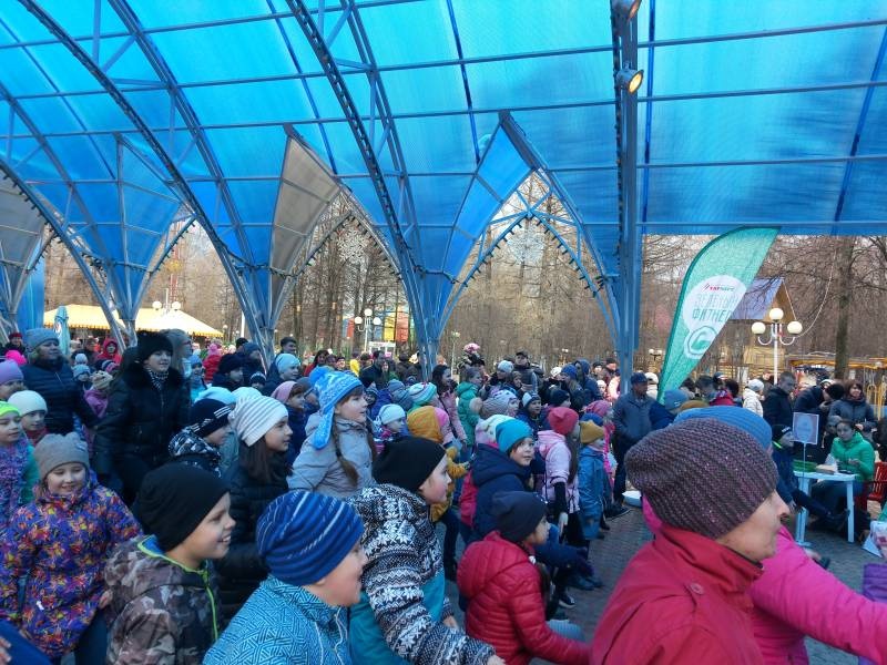 дружно на зеленый фитнес90258