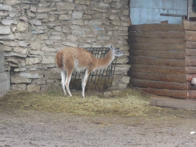 DSCN4939.JPG