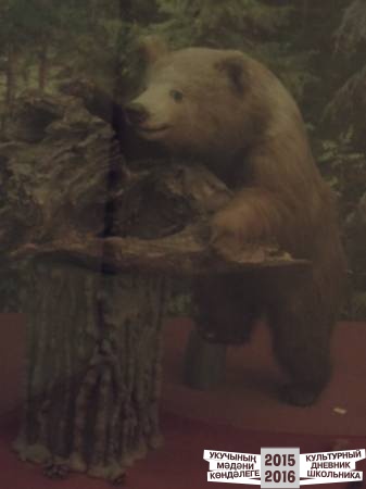 DSCN6833.JPG