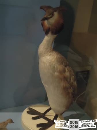 DSCN6839.JPG
