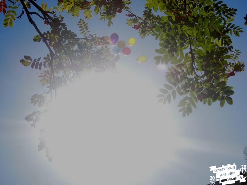 DSCN2064.JPG
