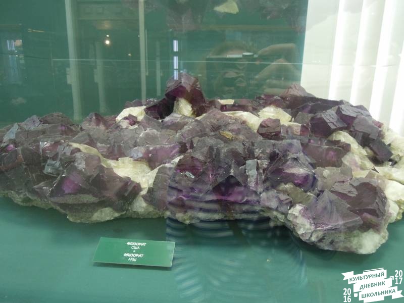 DSCN8530.JPG