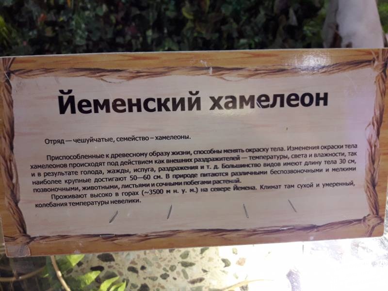 КК№46.Парк тропических бабочек.62347