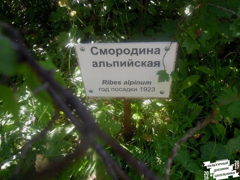 DSCN1615.JPG