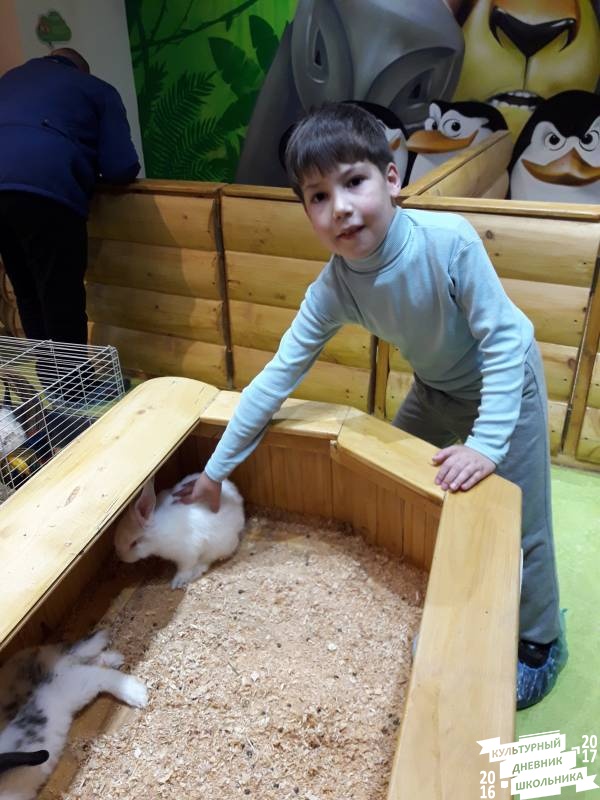Контактный зоопарк. Казань.75591