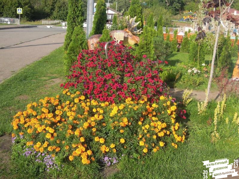 DSCN2434.JPG