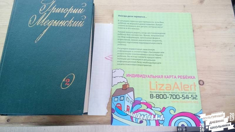 Уличные библиотеки Альметьевска. 31.10.17г.84606