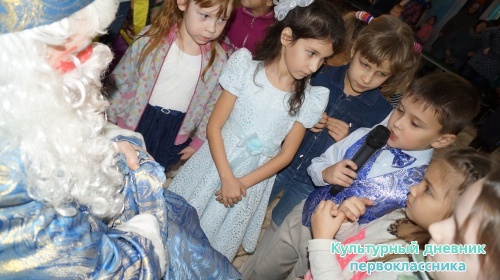 мои елки14561