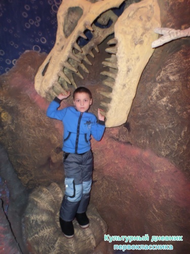 Океанариум