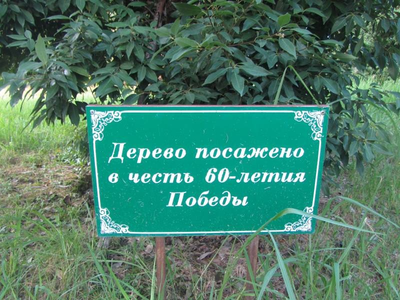 IMG_0988.JPG