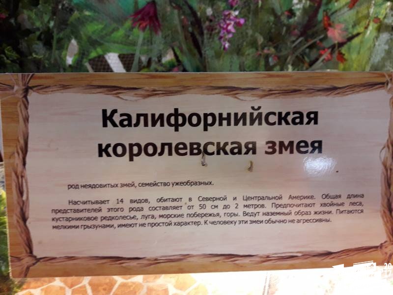 КК№46.Парк тропических бабочек.62343