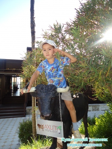 АБХАЗИЯ.ТАЧКИ