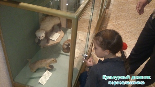 Актанышыбызның күрке - "Туган як" музеена сәяхәт!!!7355