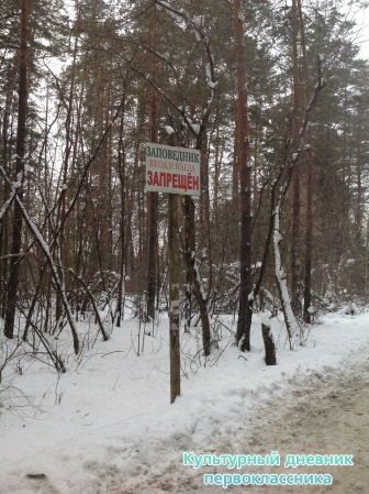 Раифа15672