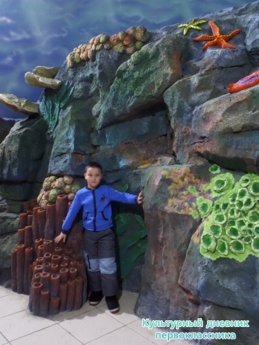 Океанариум