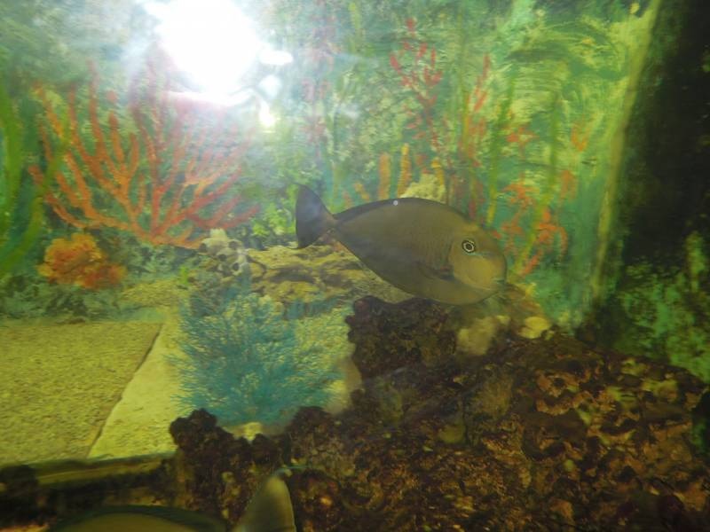 DSCN9932.JPG
