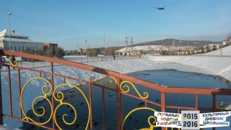 20161204_121834