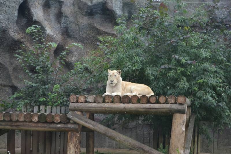 DSC_0605.JPG