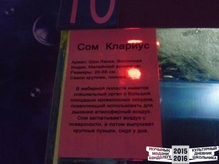 P1020847.JPG
