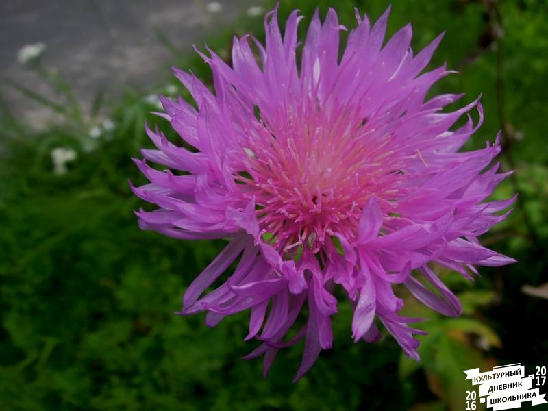 DSCN0573.JPG
