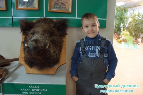 Музей экологии и природы2608