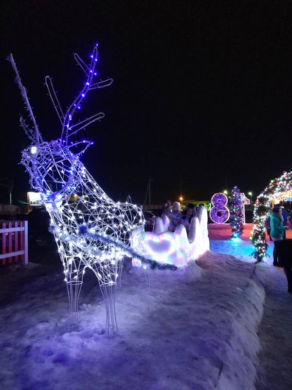 Мои новогодние каникулы133936