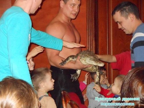 Цирк! "Сочи и Ко"9382