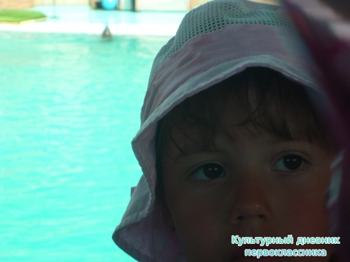 S7300812.JPG