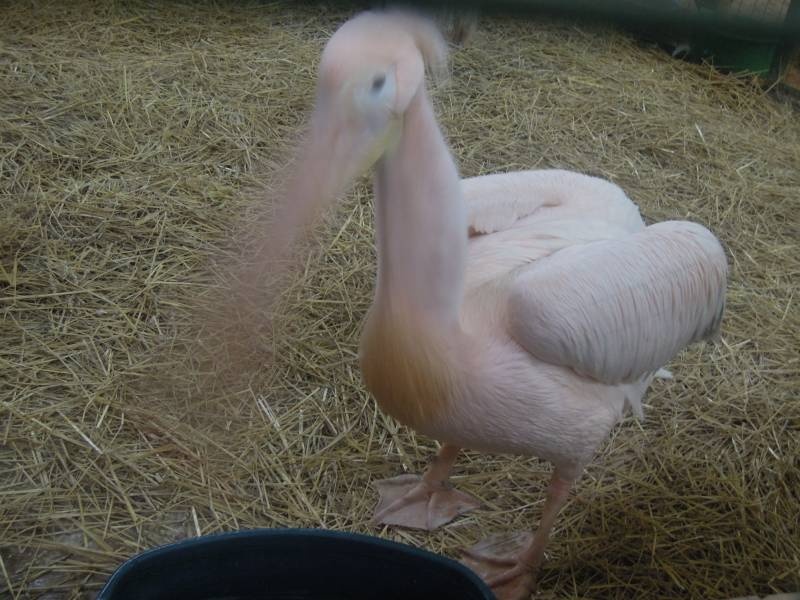 DSCN4960.JPG