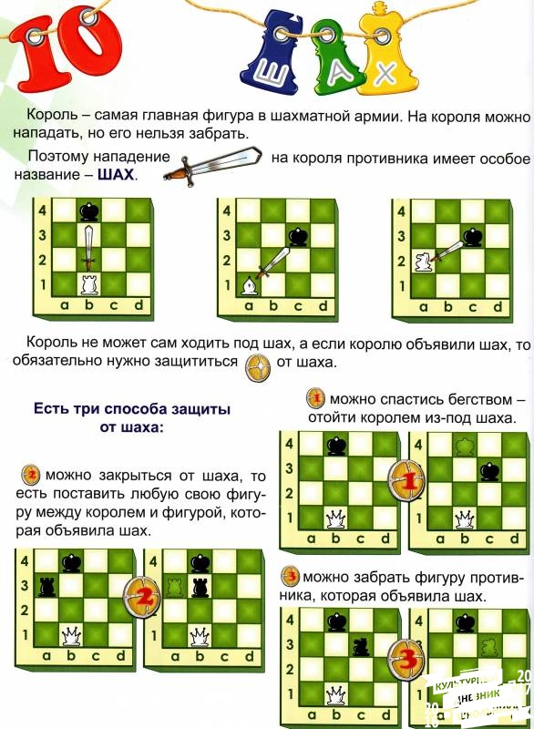 Урок 13 Шах