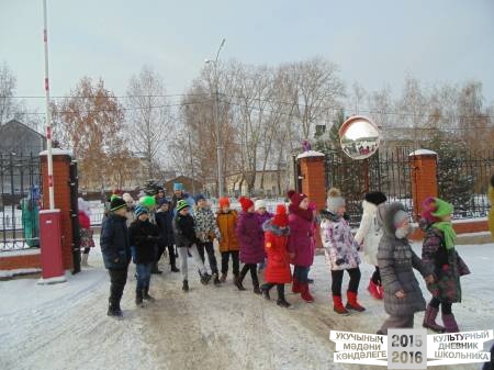 в нерпинарии41462