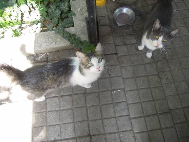 DSCN0589.JPG