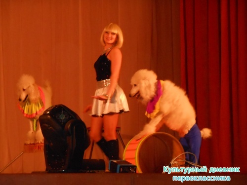 Цирк! "Сочи и Ко"9377