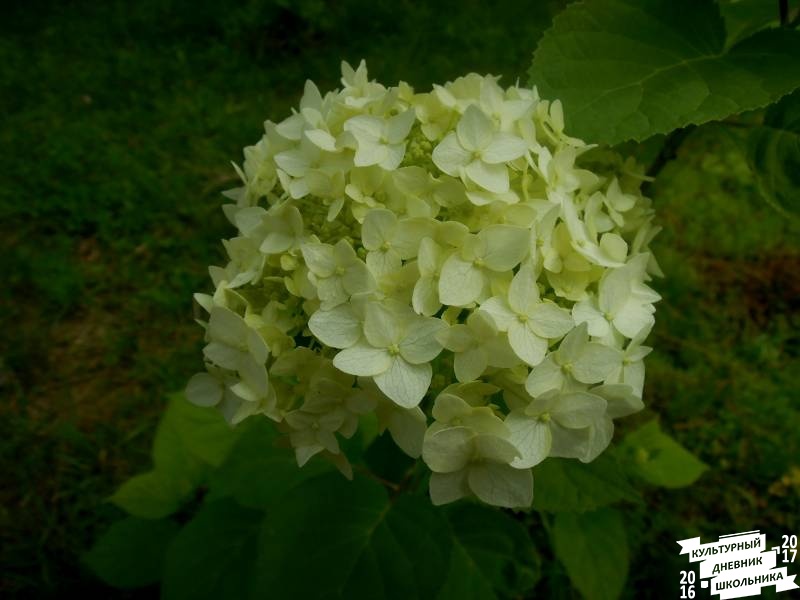 DSCN0574.JPG