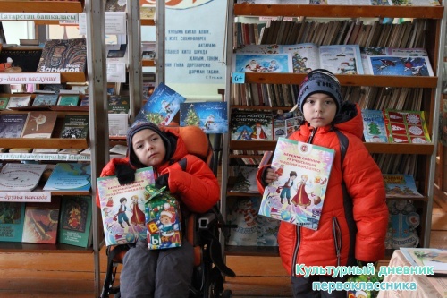 Ильфат и Ильшат с культурным дневником14324