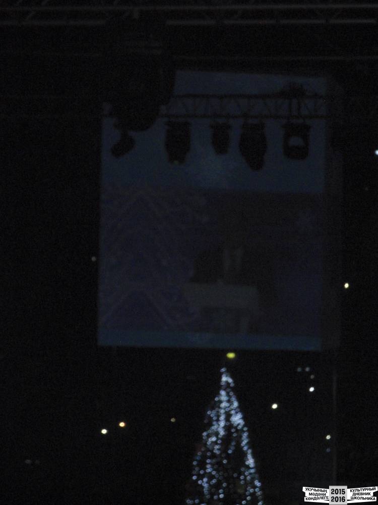 Я на Президентской елке 25.12.2016 г.52407