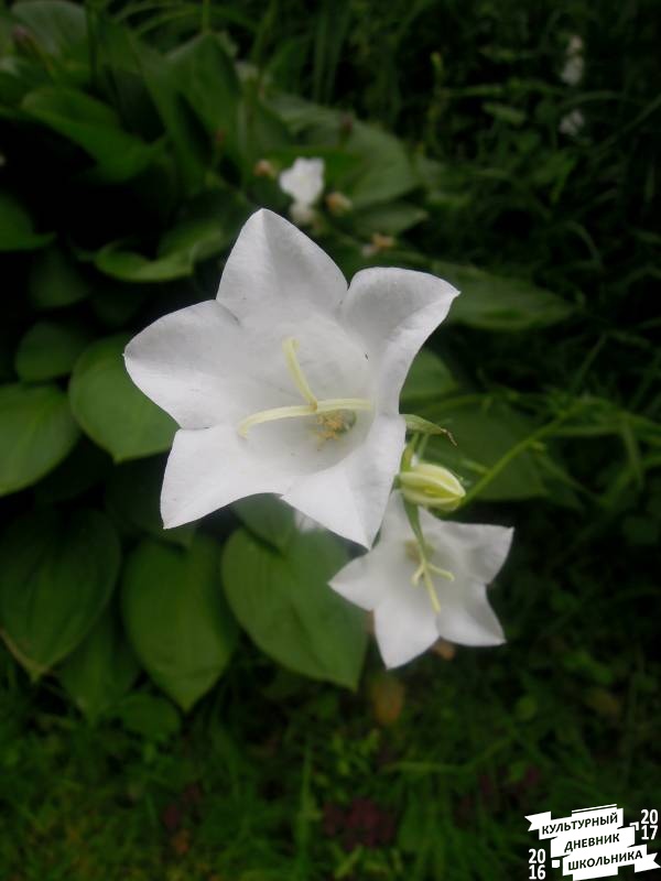 DSCN0639.JPG