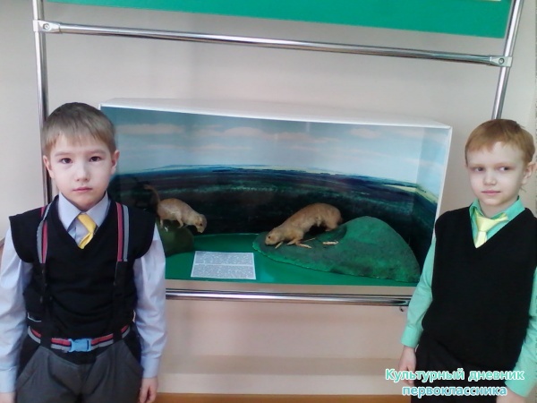 Краеведческий музей23143