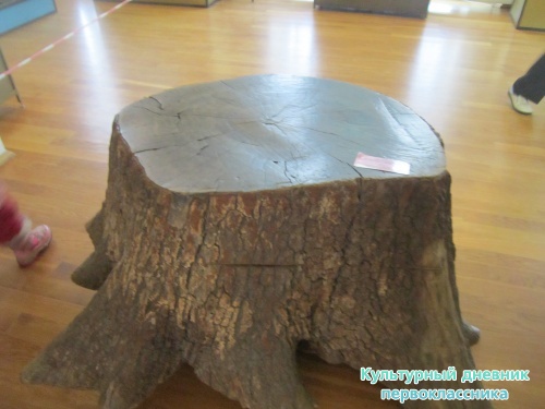 Мои путешествия11579