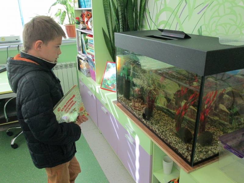 Детский технопарк Кванториум в Альметьевске152504