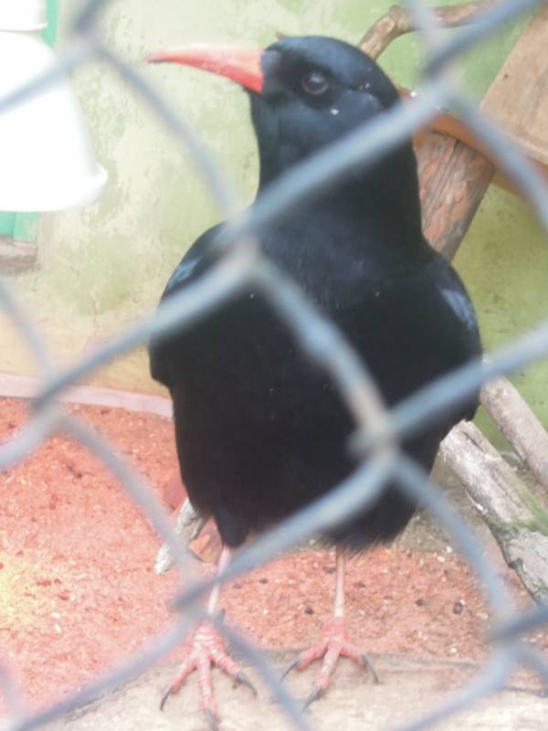 DSCN5032.JPG