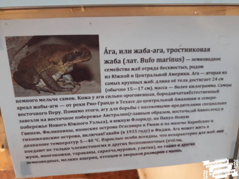 Выставка зоопарк "Живые тропики"60602