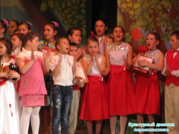 Пестречинская звездочка24132