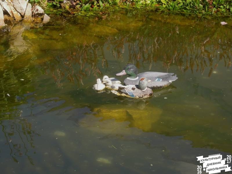 DSCN1525.JPG