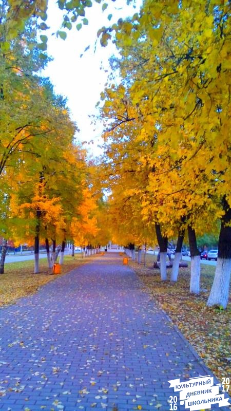 Улица Габдуллы Тукая.81458