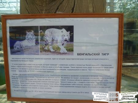 P1020879.JPG