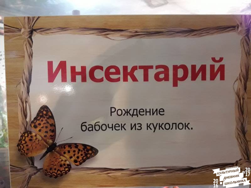 КК№46.Парк тропических бабочек.62373